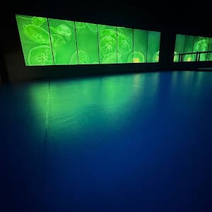 ALIVE Studios - Plano — Additional