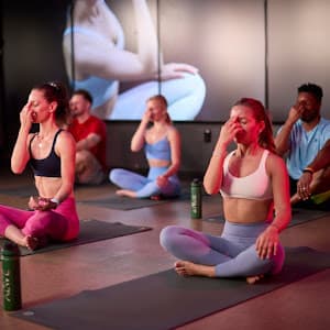 ALIVE Studios - Southlake — Additional